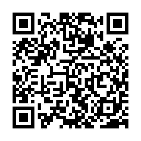 QR code for ZGU991