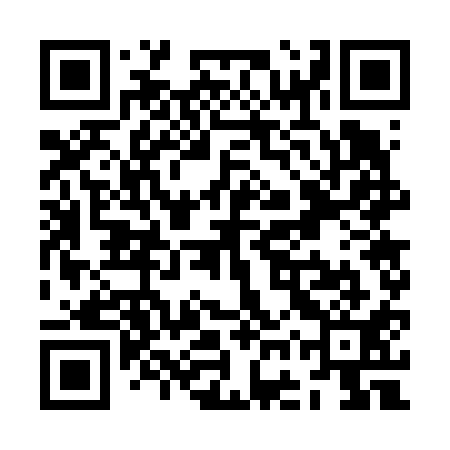 QR code for ZGW611