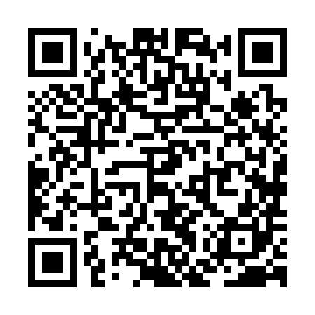 QR code for ZGX380