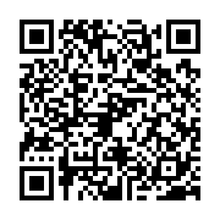 QR code for ZH17300