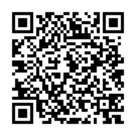 QR code for ZH27389