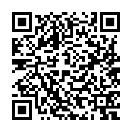 QR code for ZH29711