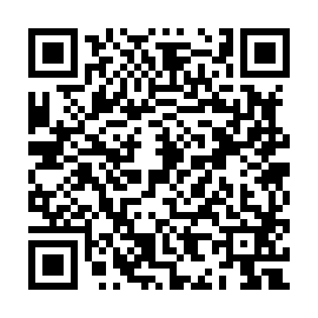 QR code for ZH38827