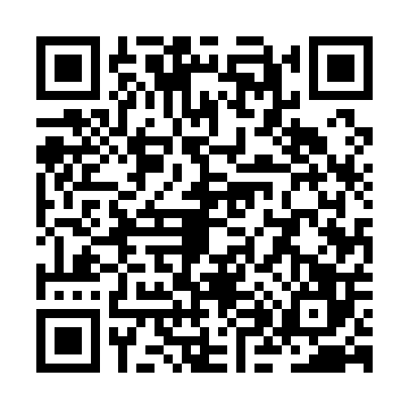 QR code for ZH51066