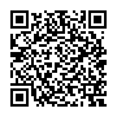 QR code for ZH53133