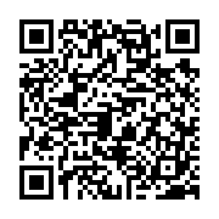 QR code for ZH66633