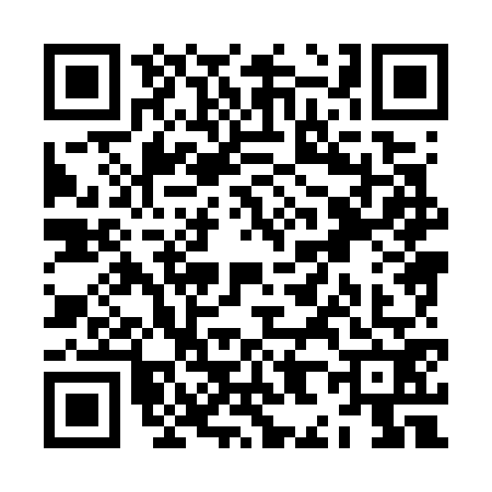 QR code for ZH87729