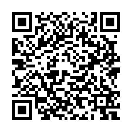 QR code for ZH90236