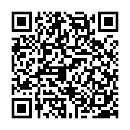 QR code for ZH99704
