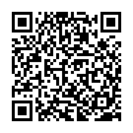 QR code for ZH9995