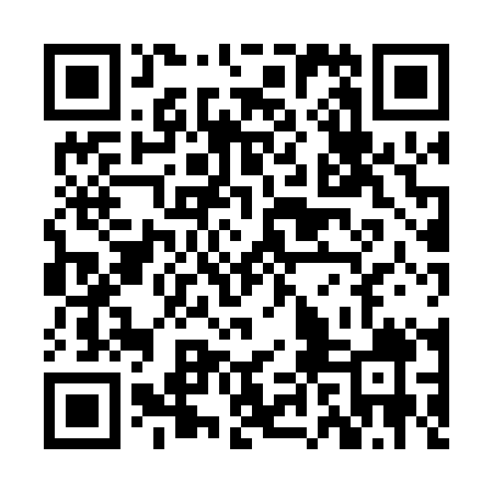 QR code for ZHH009
