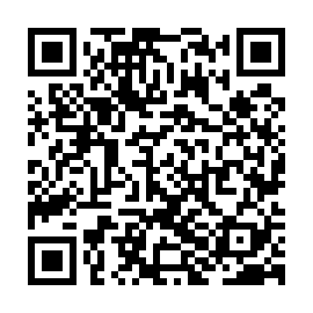 QR code for ZHN529