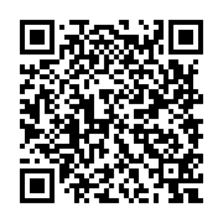 QR code for ZHN911