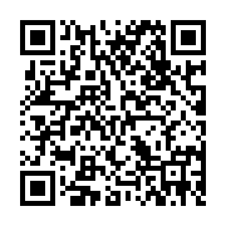 QR code for ZHP995