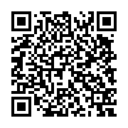 QR code for ZHT433