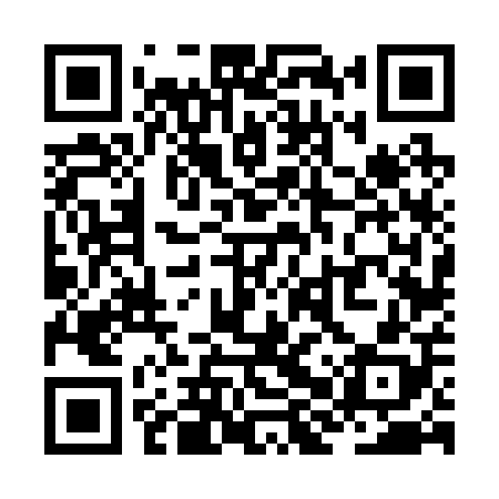 QR code for ZHV208