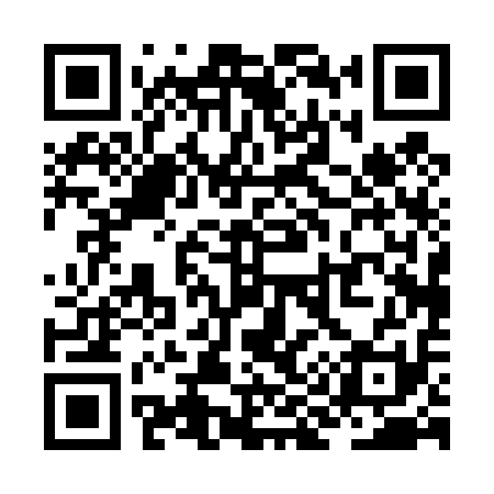 QR code for ZI0411