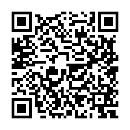 QR code for ZI08417