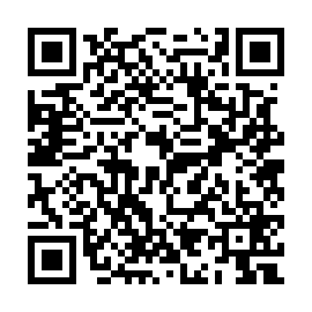 QR code for ZI25695