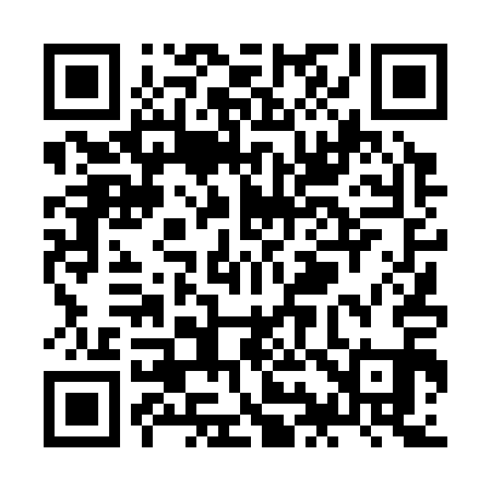 QR code for ZI4311