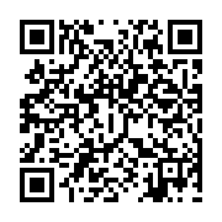 QR code for ZI5585