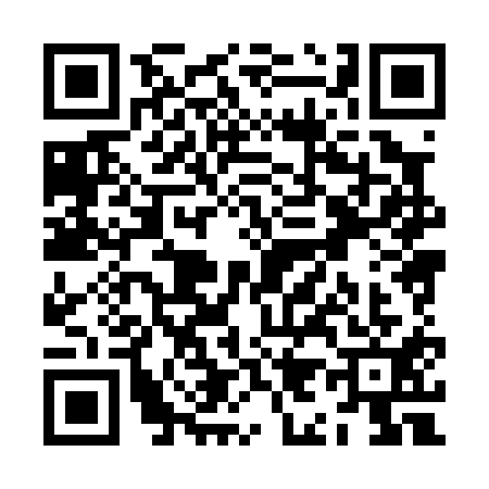 QR code for ZI80113