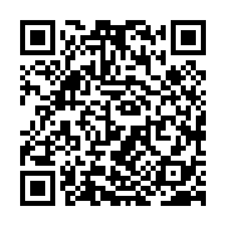 QR code for ZI8038