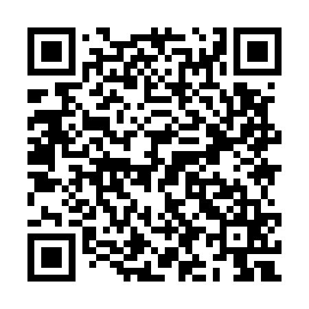 QR code for ZI9565