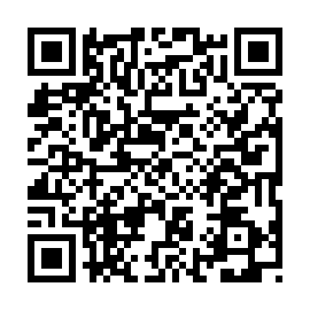 QR code for ZI95725