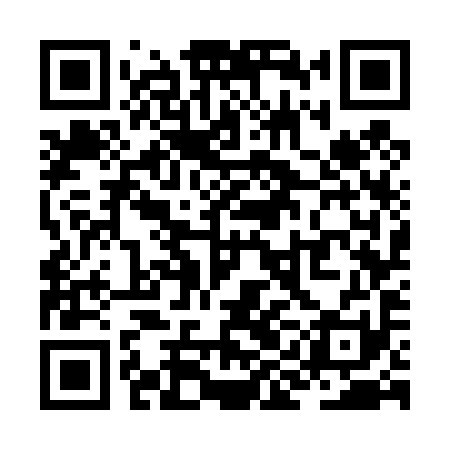 QR code for ZIG491