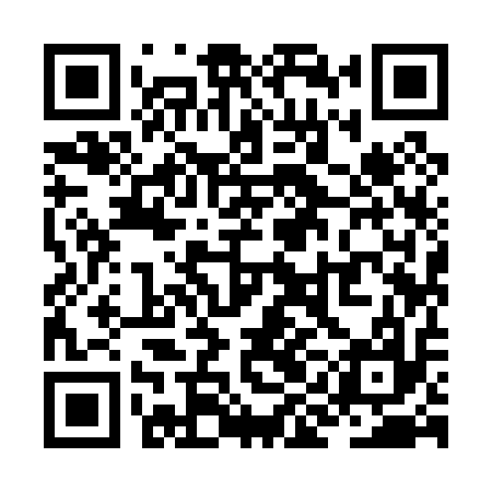 QR code for ZII017