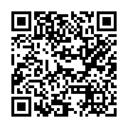 QR code for ZII306