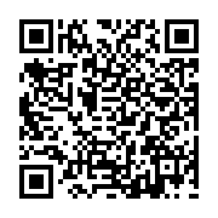 QR code for ZJ09729