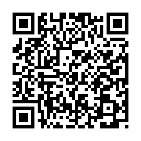 QR code for ZJ51831
