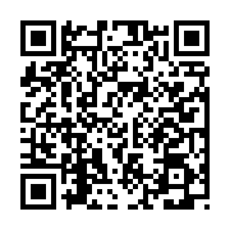 QR code for ZJ64541
