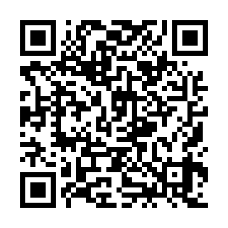 QR code for ZJ9539