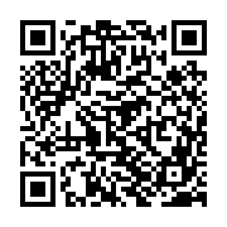 QR code for ZJA266