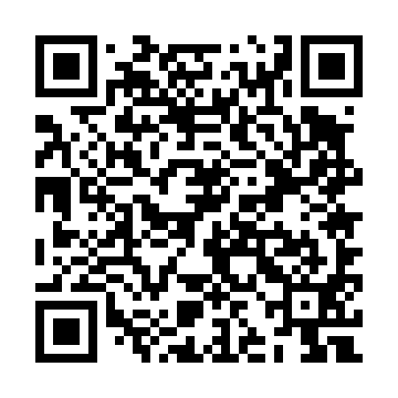 QR code for ZJE491