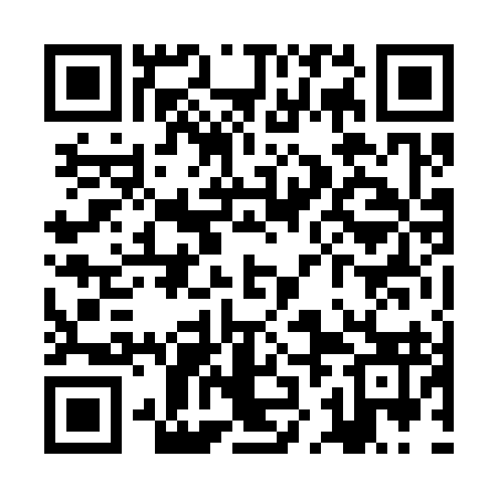 QR code for ZJN393