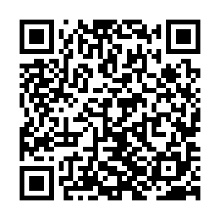 QR code for ZJN395