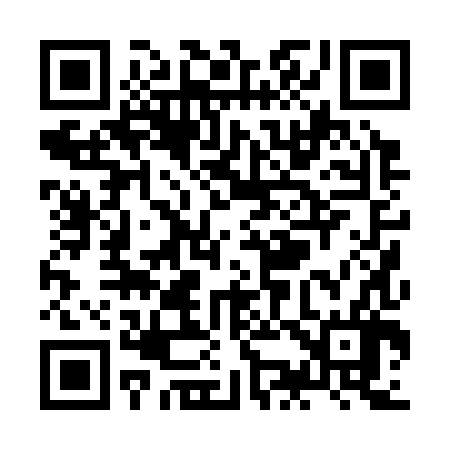 QR code for ZK0386