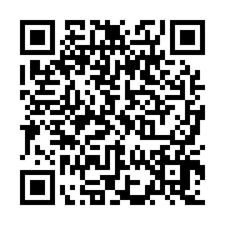 QR code for ZK81060