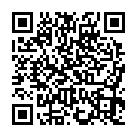 QR code for ZK83713