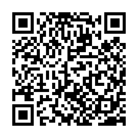 QR code for ZKI411