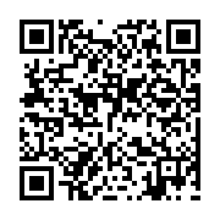 QR code for ZKV386
