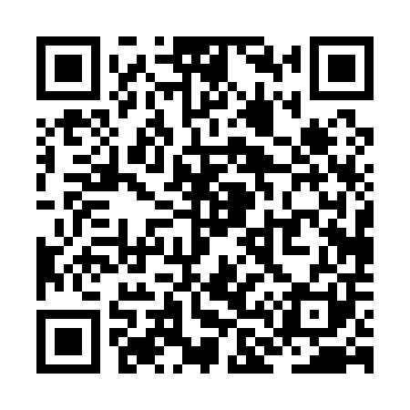 QR code for ZL0101