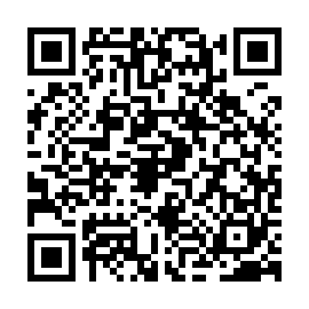 QR code for ZL19602