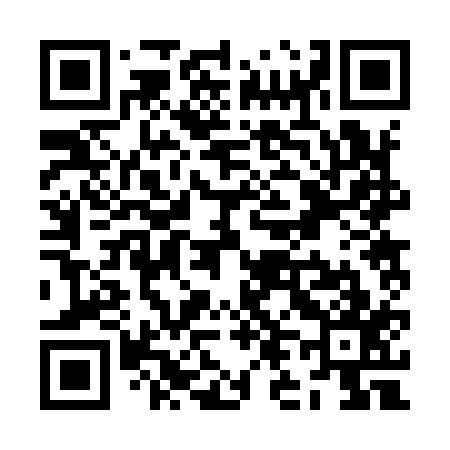 QR code for ZL2917