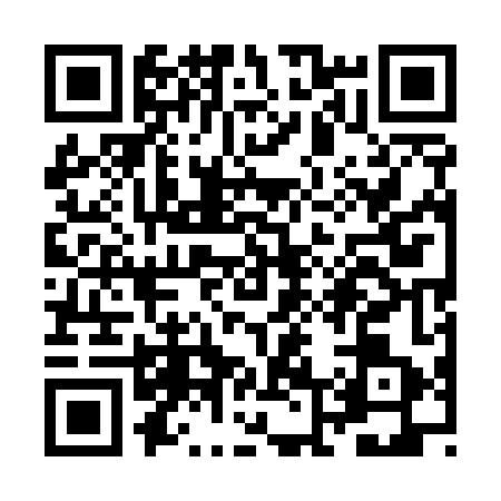 QR code for ZL55435