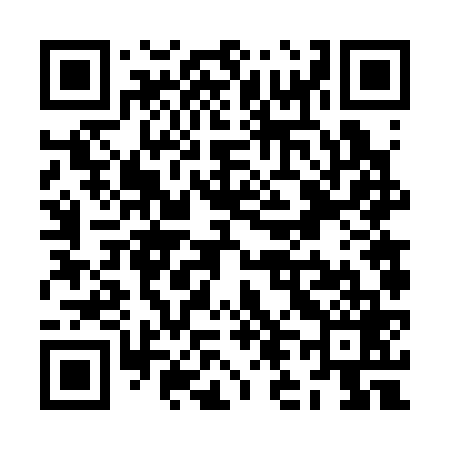 QR code for ZL6369